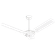 image-c64d3e71786947bba06ed8306d320621