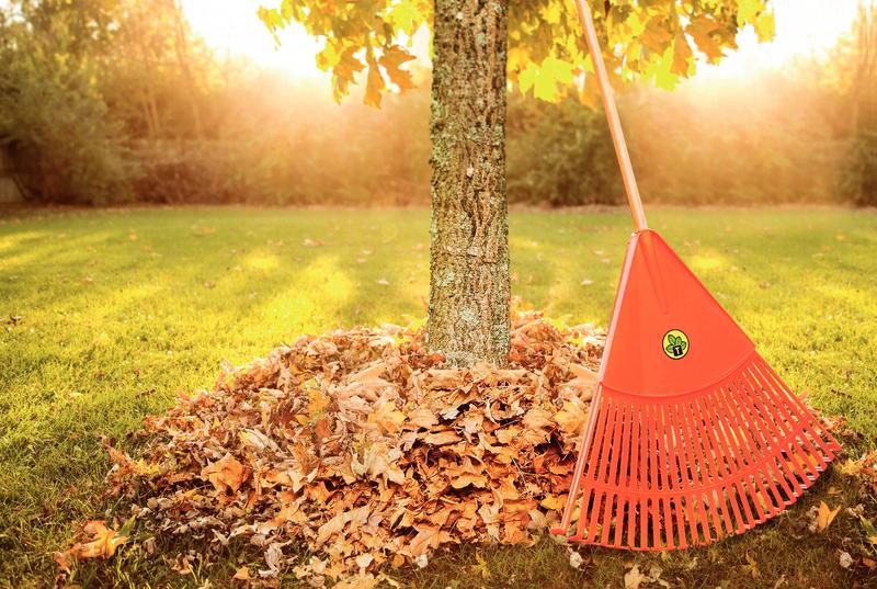 Vassoura Jardim Plástica 26 Dentes Sem Cabo Tramontina - Imagem 3