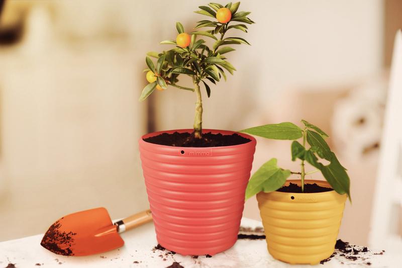 Pazinha Larga Com Cabo Madeira Tramontina - Imagem 3