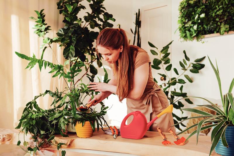 Pazinha Larga Com Cabo Madeira Tramontina - Imagem 5