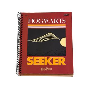 Caderno Harry Potter Seeker Jandaia 10 Matérias 200 Folhas