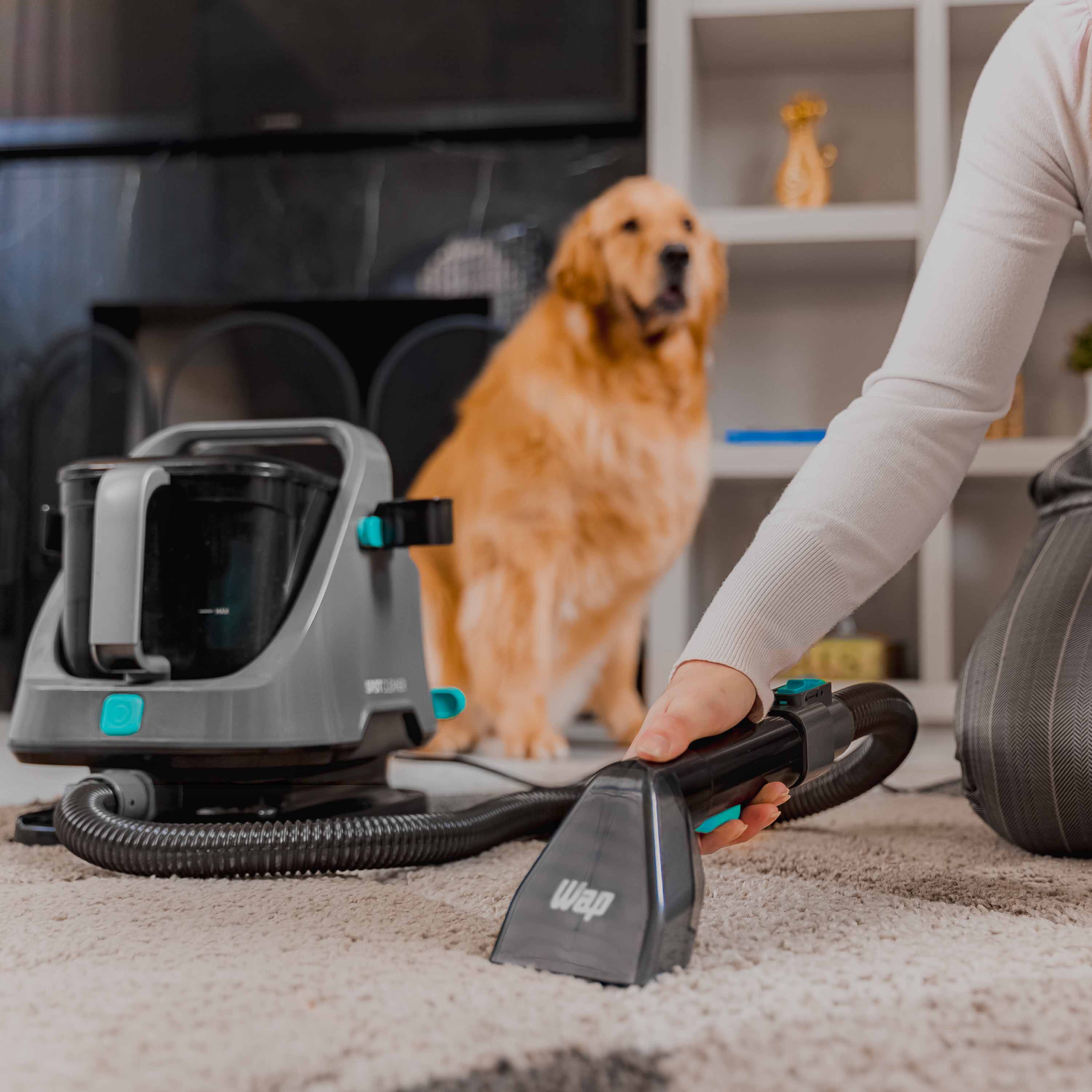 Extratora Portátil Wap Spot Cleaner - Imagem 4