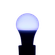 image-cc7f2910806d451b85a078be876fc313