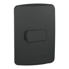 Conj Emb Miluz C/Placa Horizontal Int. Simples 10A 250V S3B62011 Grafite - Schneider Schneider