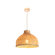 image-0870cc90c1a24fafb4aa60be00e000b2