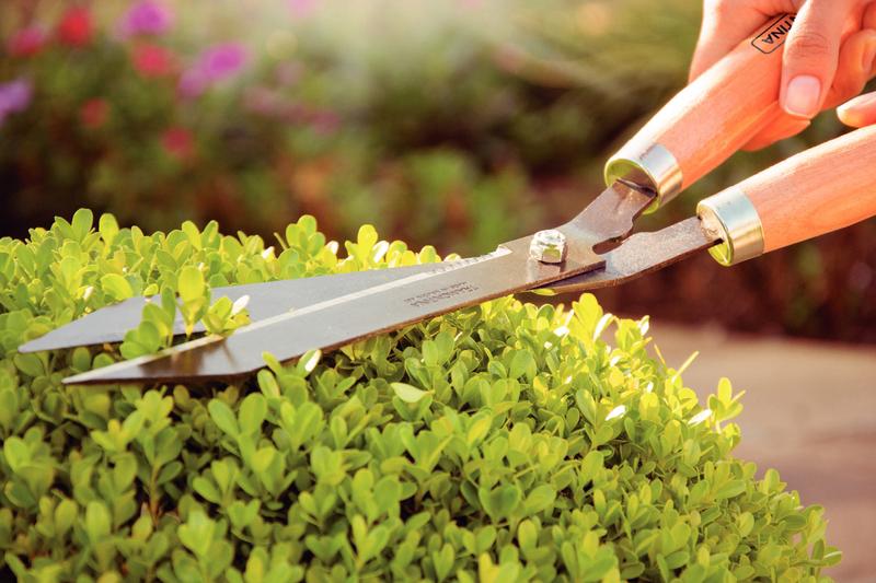 Tesoura Cerca Viva 12 Lamina Serrilhadas Tramontina - Imagem 7