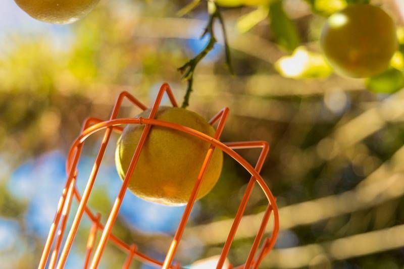 Colhedor de Frutas Médio em Aço sem Cabo Tramontina - Imagem 2