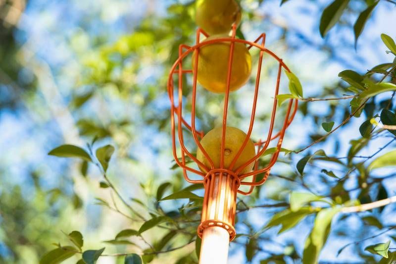 Colhedor de Frutas Médio em Aço sem Cabo Tramontina - Imagem 3