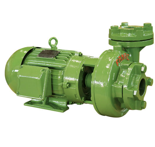 Motobomba Monofásica F7B-R 2,0CV Rotor 142mm 110/220V IP21 Cod. 4041.2090 – Famac