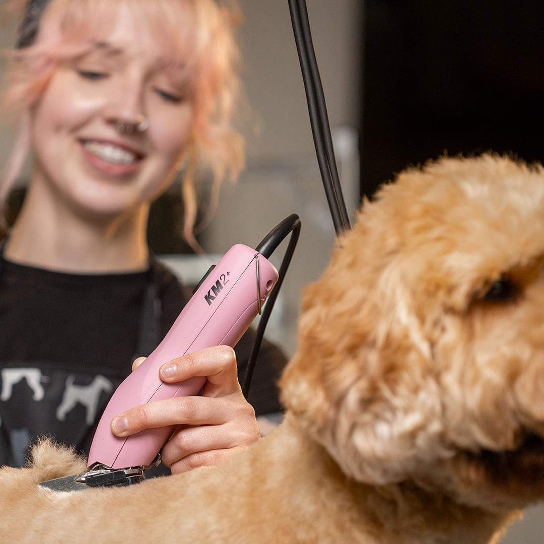 Máquina de Tosa Animal Wahl KM2 Plus - Imagem 7