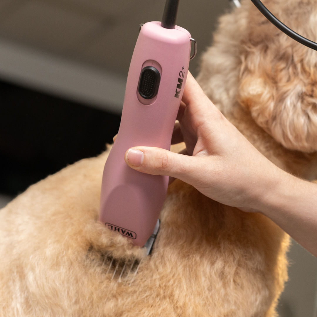 Máquina de Tosa Animal Wahl KM2 Plus - Imagem 6