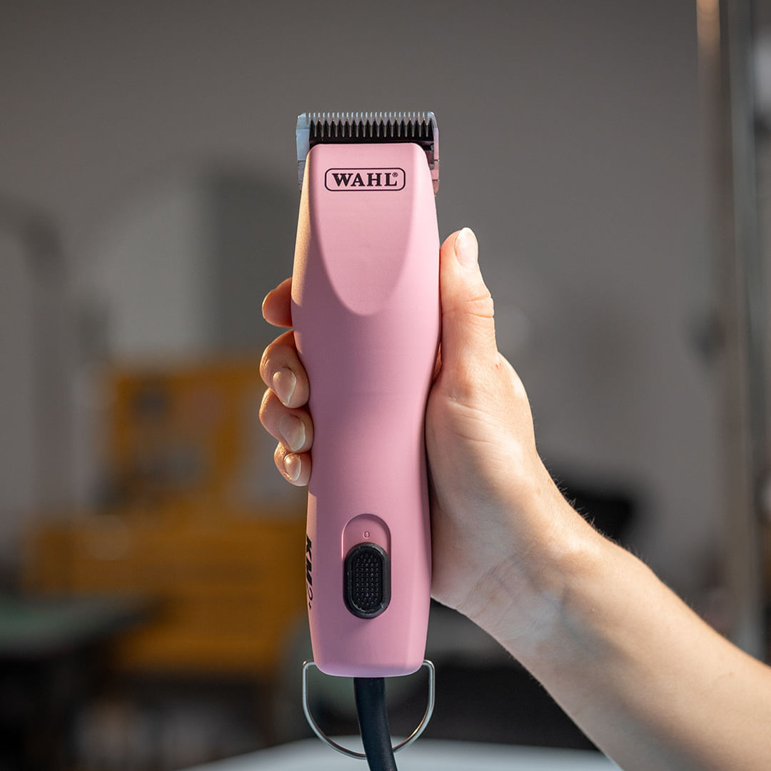 Máquina de Tosa Animal Wahl KM2 Plus - Imagem 8