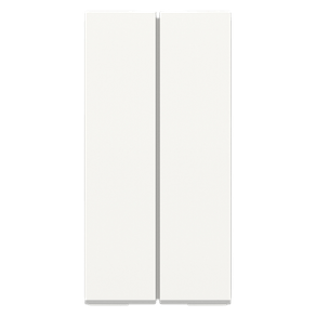 image-6fa8b966a08b47829a101df78110eaf8